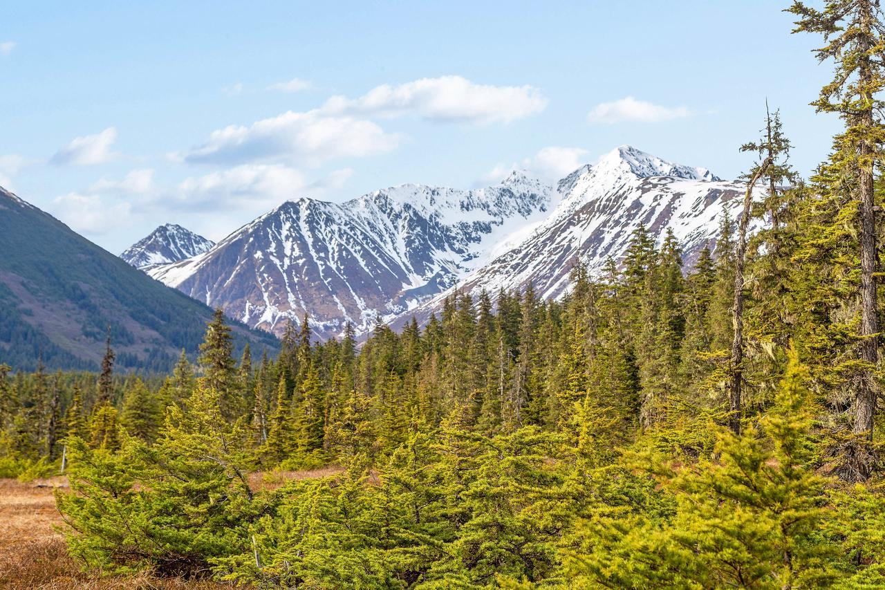 Skiview #103 Girdwood Dış mekan fotoğraf