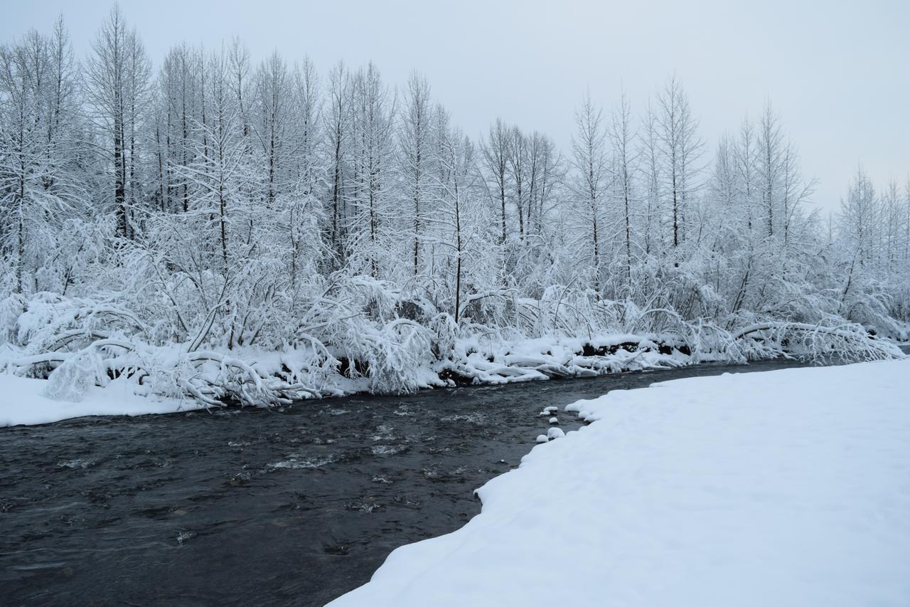 Skiview #103 Girdwood Dış mekan fotoğraf