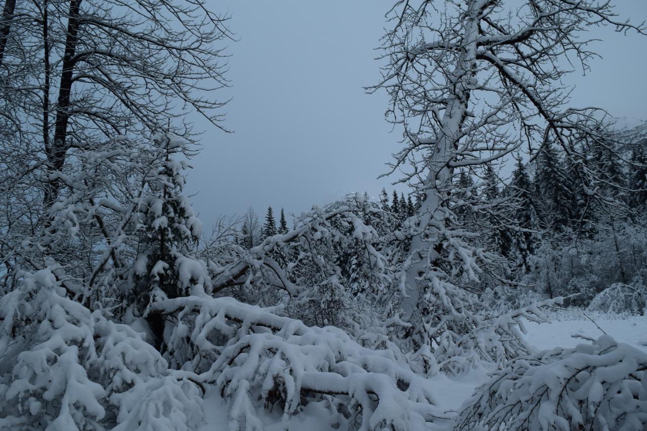 Skiview #103 Girdwood Dış mekan fotoğraf
