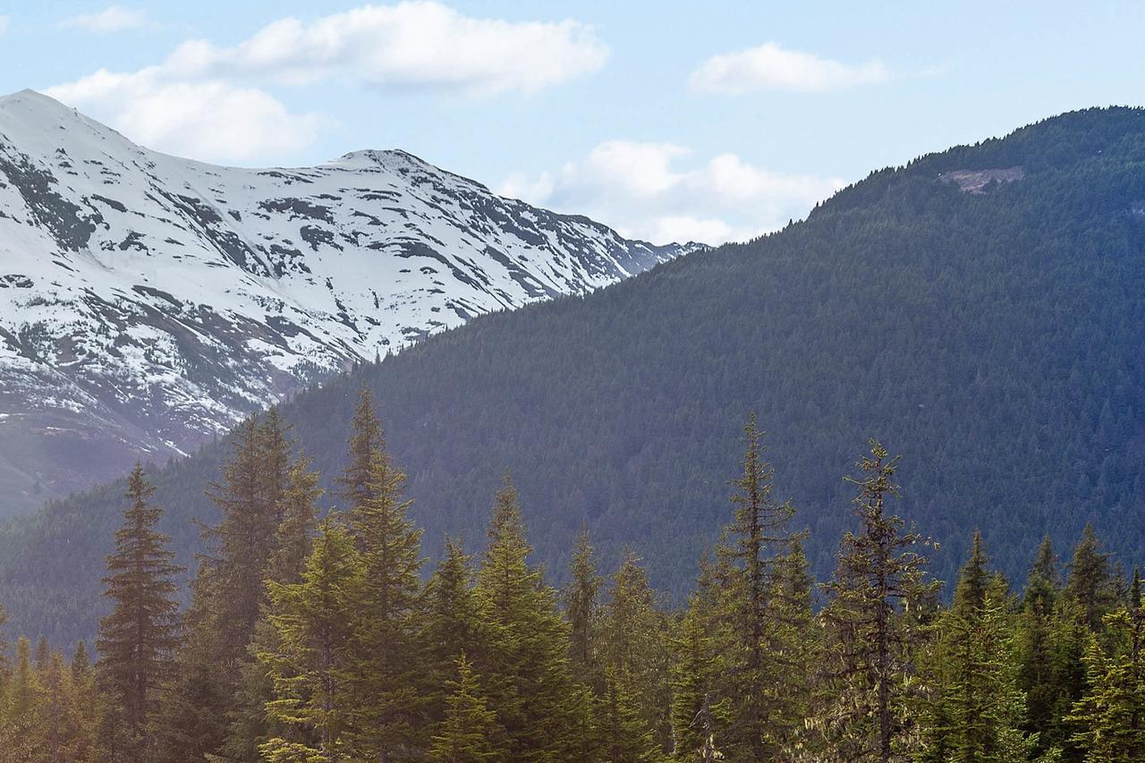 Skiview #103 Girdwood Dış mekan fotoğraf