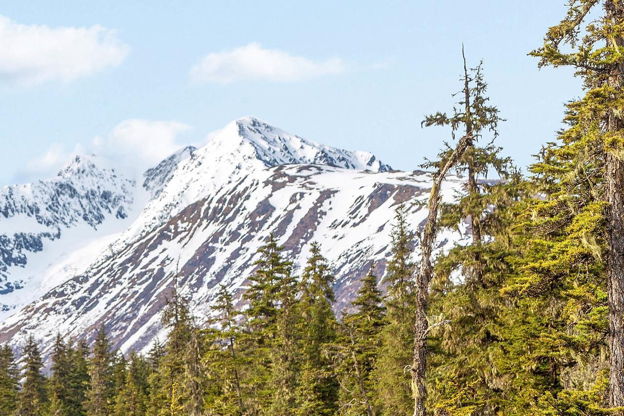 Skiview #103 Girdwood Dış mekan fotoğraf