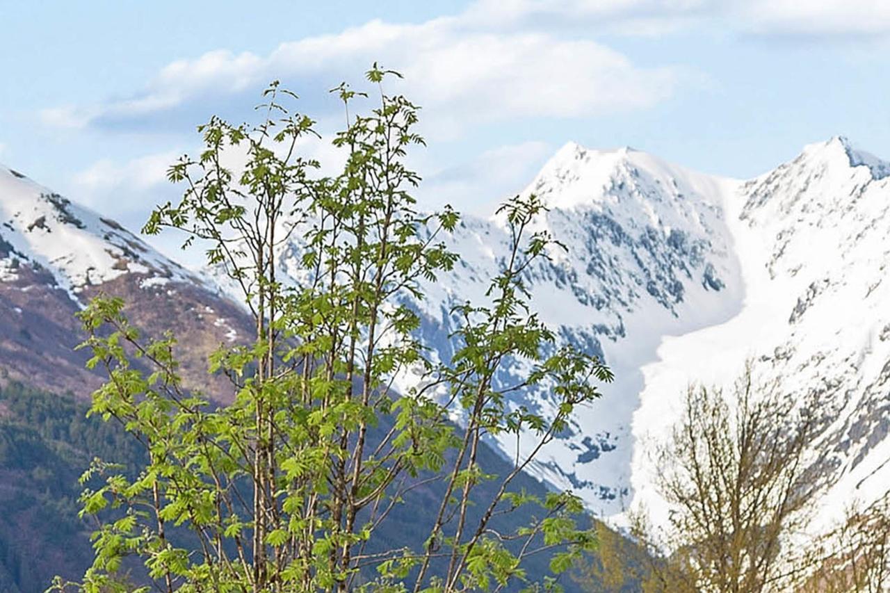 Skiview #103 Girdwood Dış mekan fotoğraf